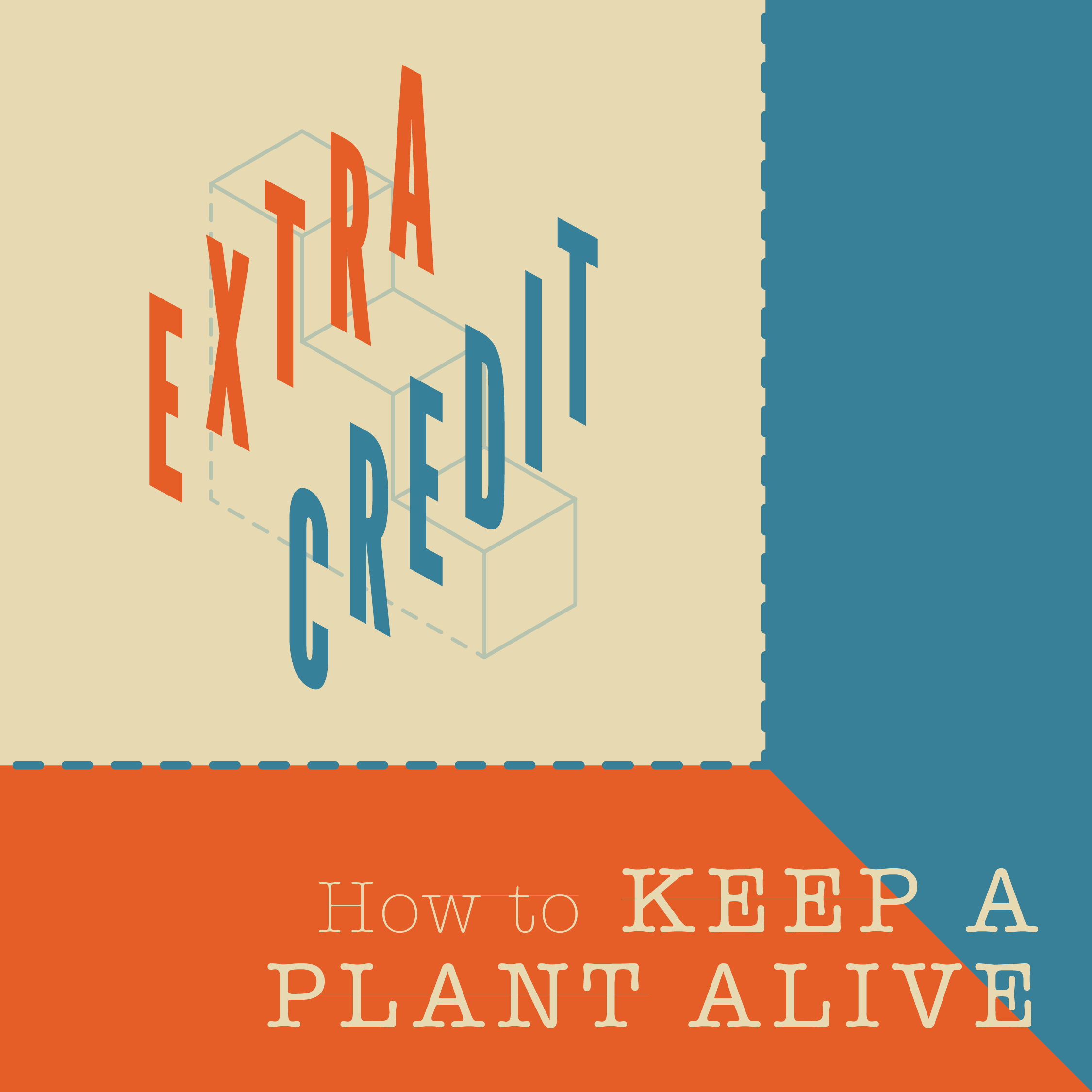 Brand_Extra-Credit_IG2