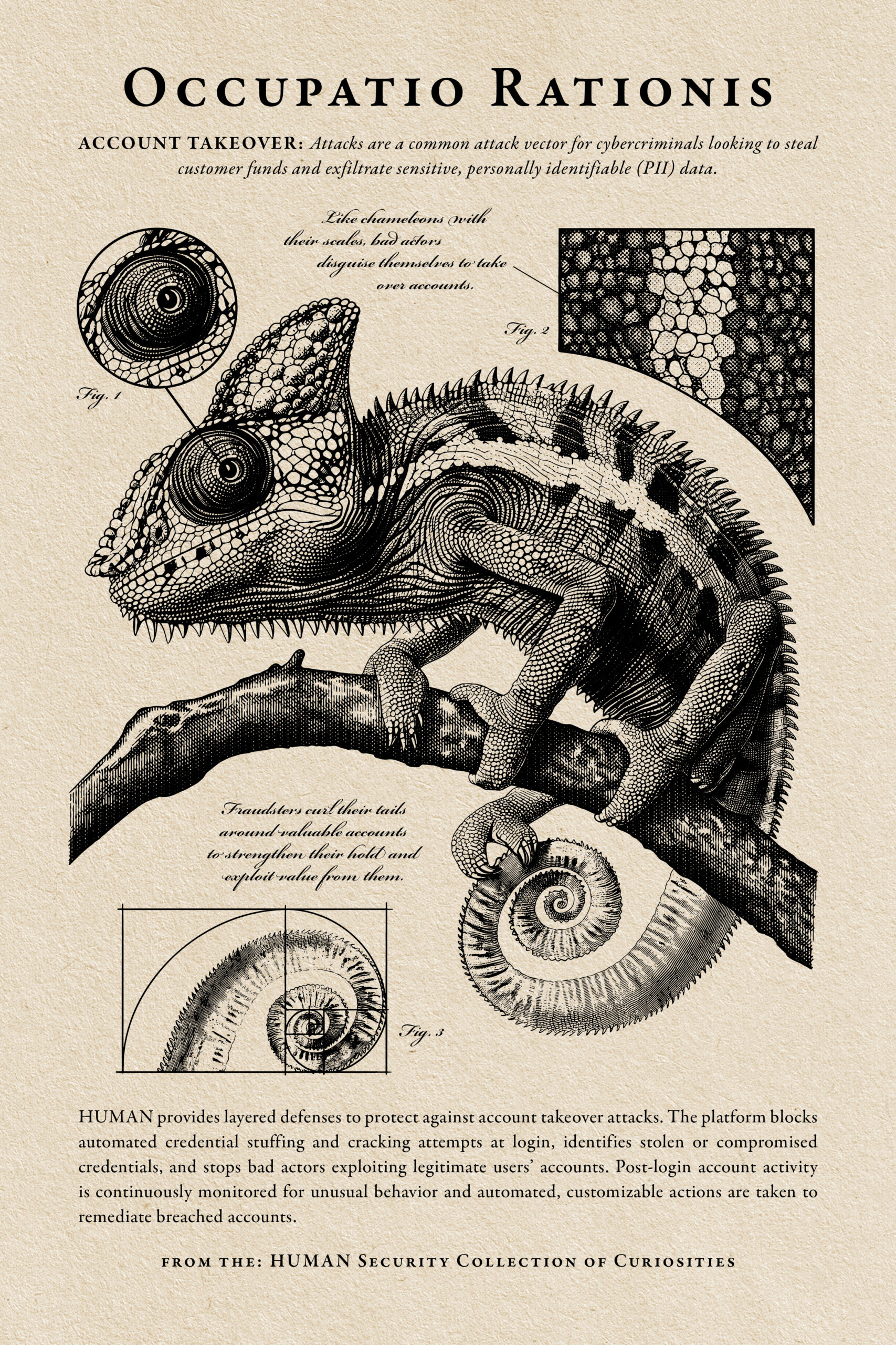 BH-2024_Poster_Chameleon