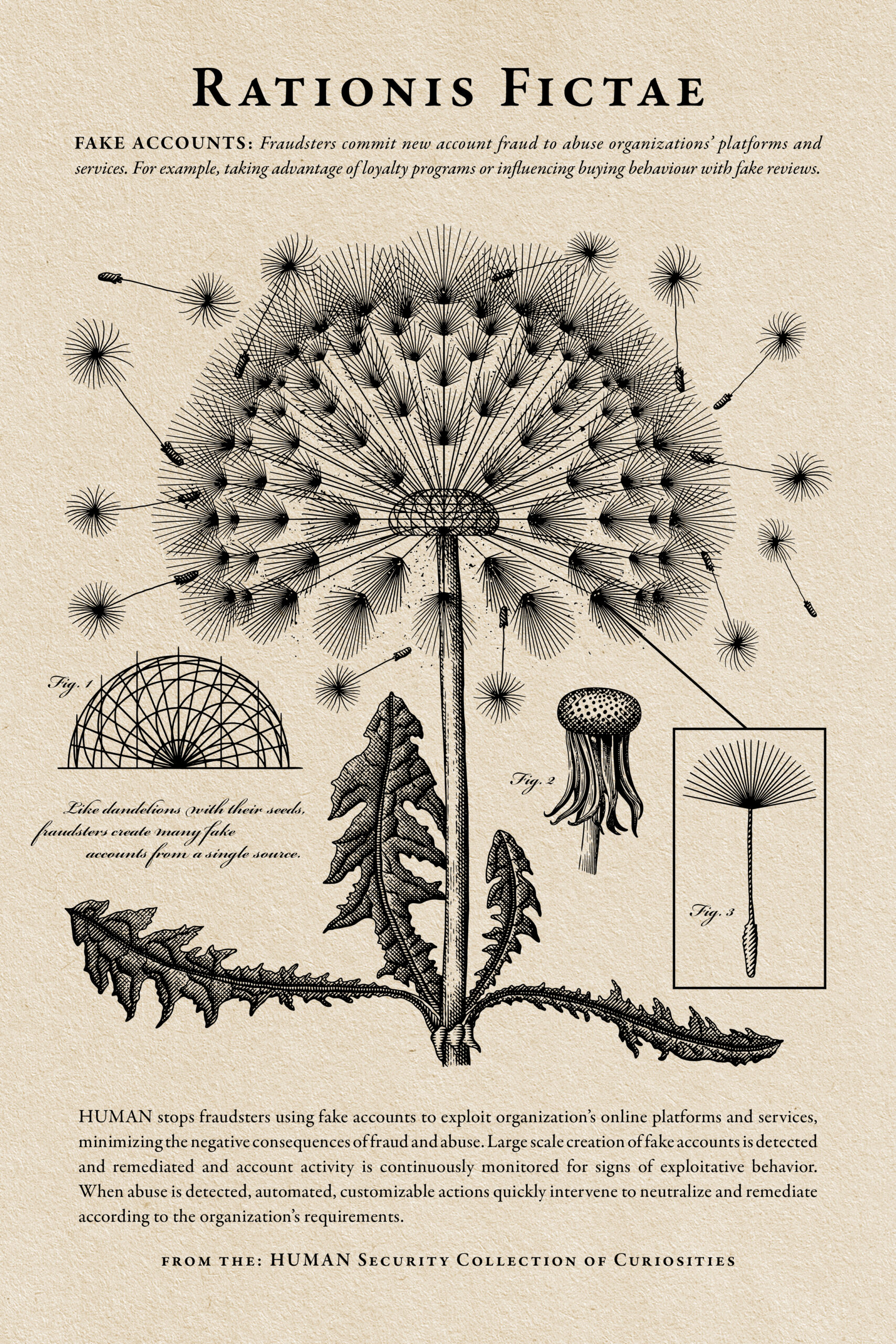 BH-2024_Poster_Dandelion-1