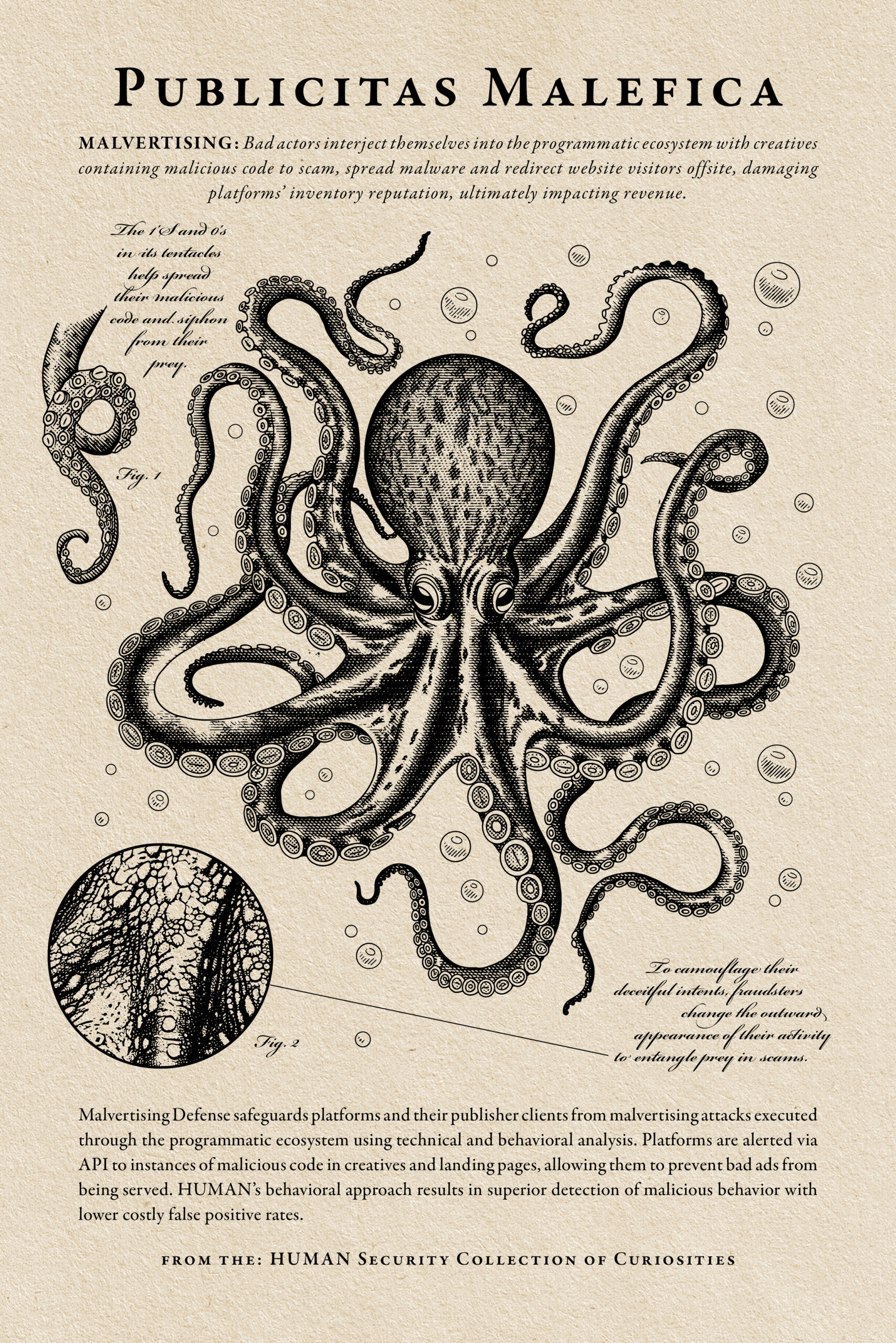 BH-2024_Poster_Octopus
