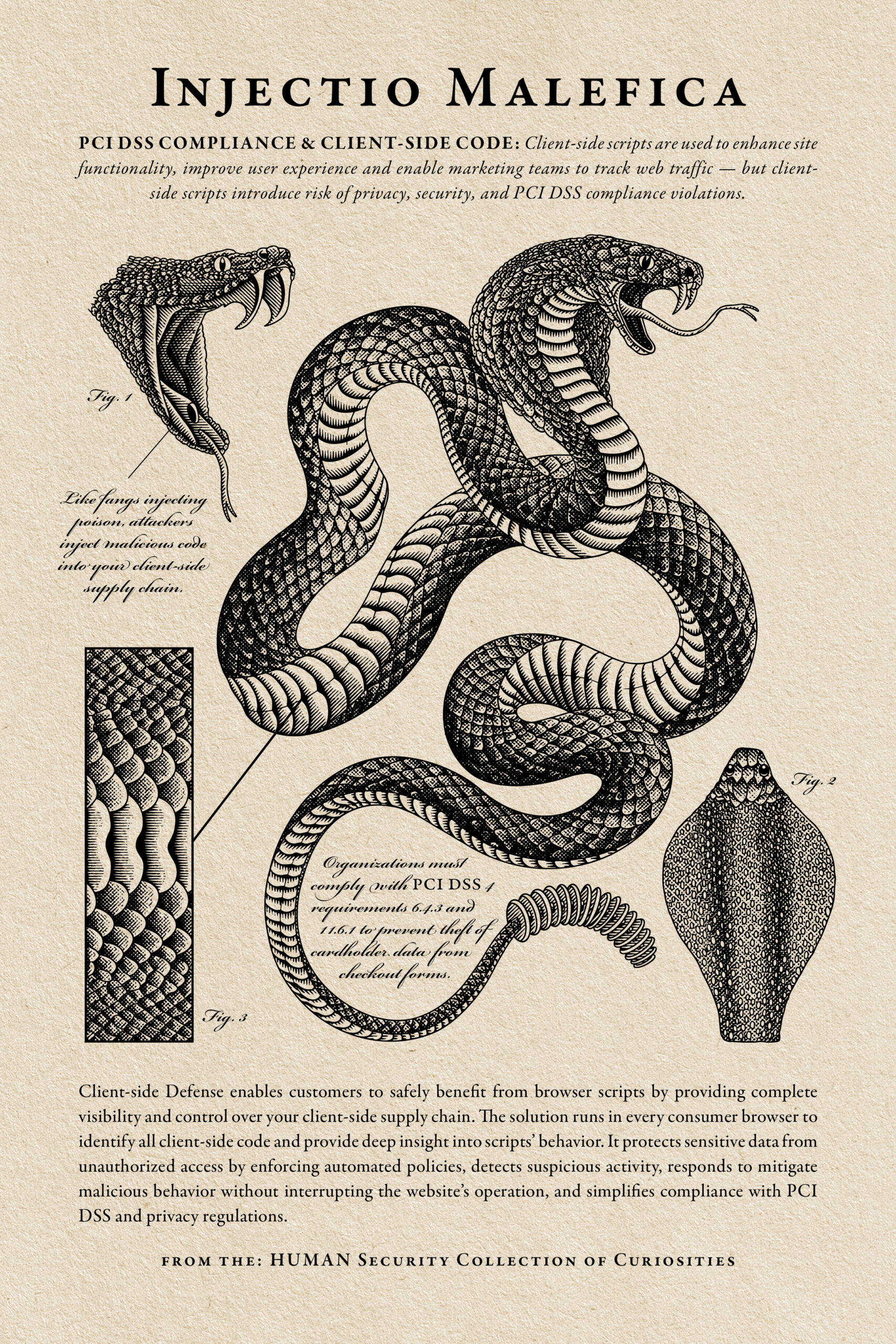 BH-2024_Poster_Snake