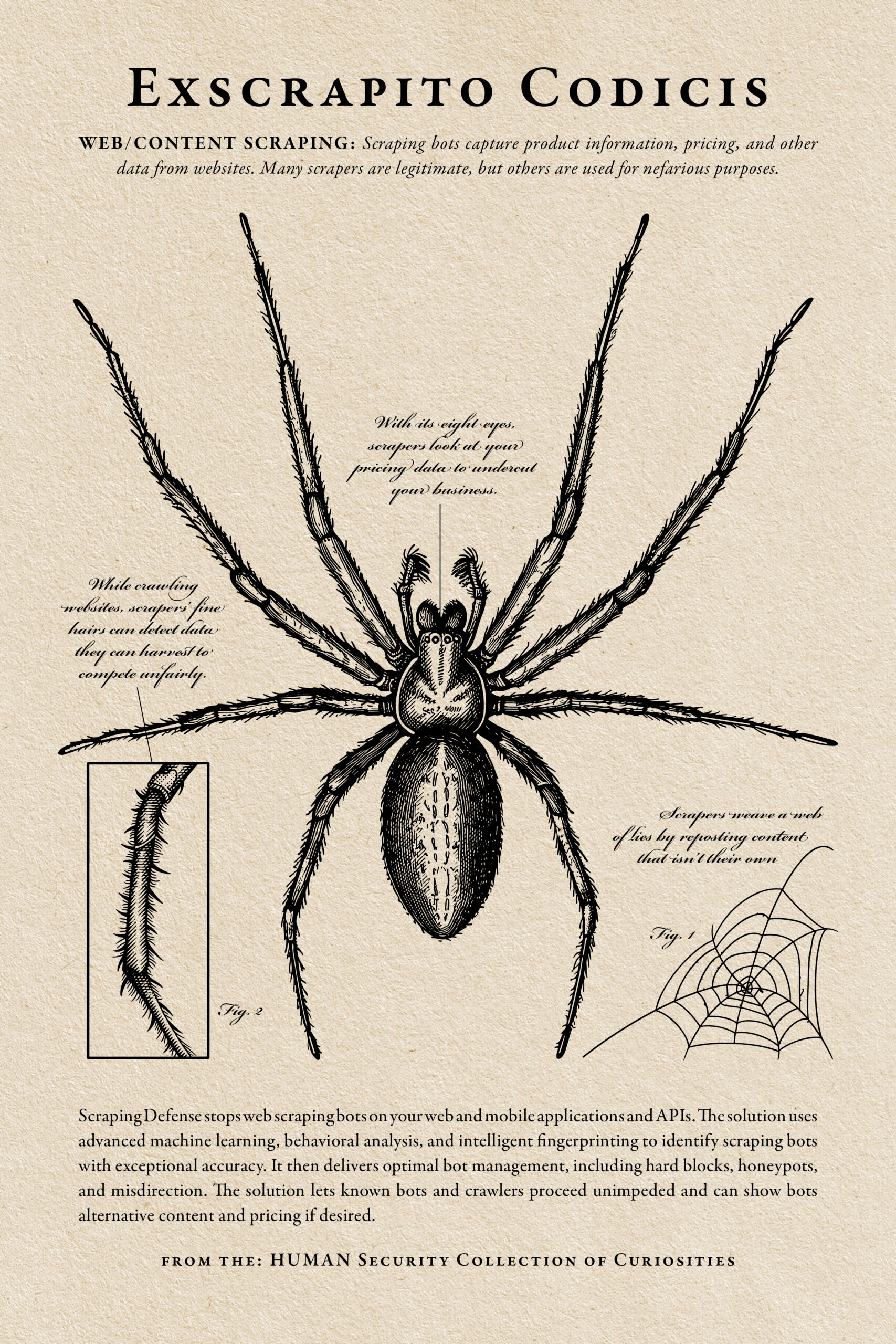 BH-2024_Poster_Spider